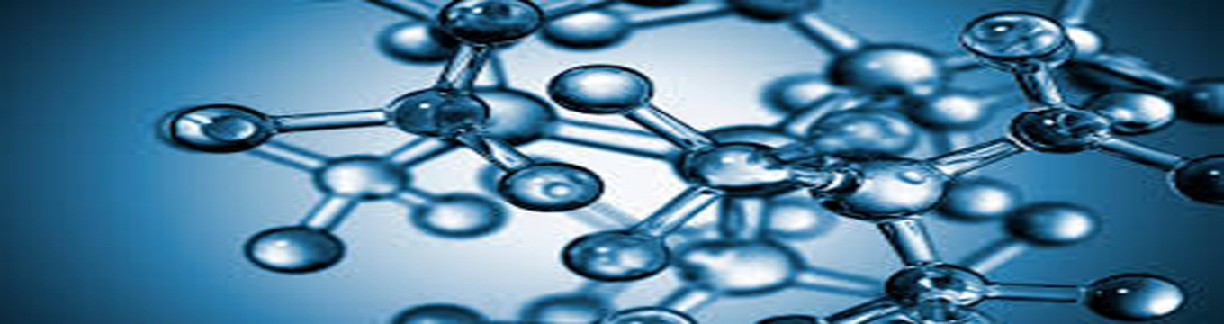 banner5